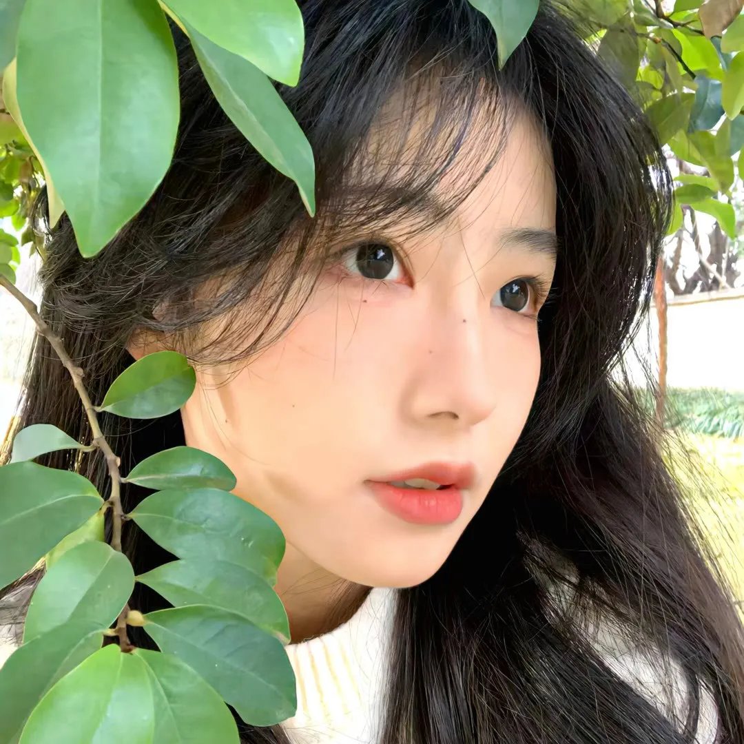 晨缘暮恋
